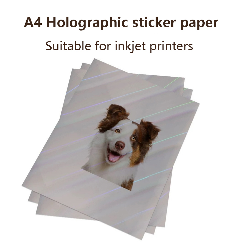 10 Hojas de Papel Adhesivo Hol - Commercial Vinyl Printing reseña y precio