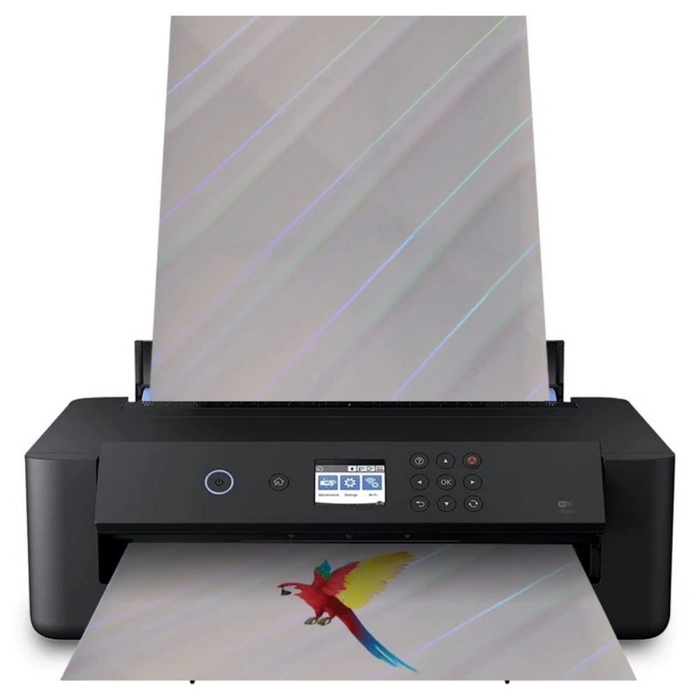 10 Hojas de Papel Adhesivo Hol - Commercial Vinyl Printing reseña y precio